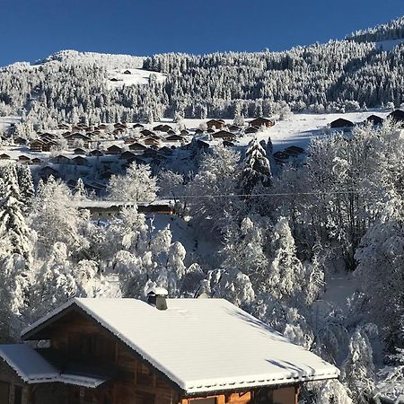 Au Bois De Lune Châtel Exterior foto