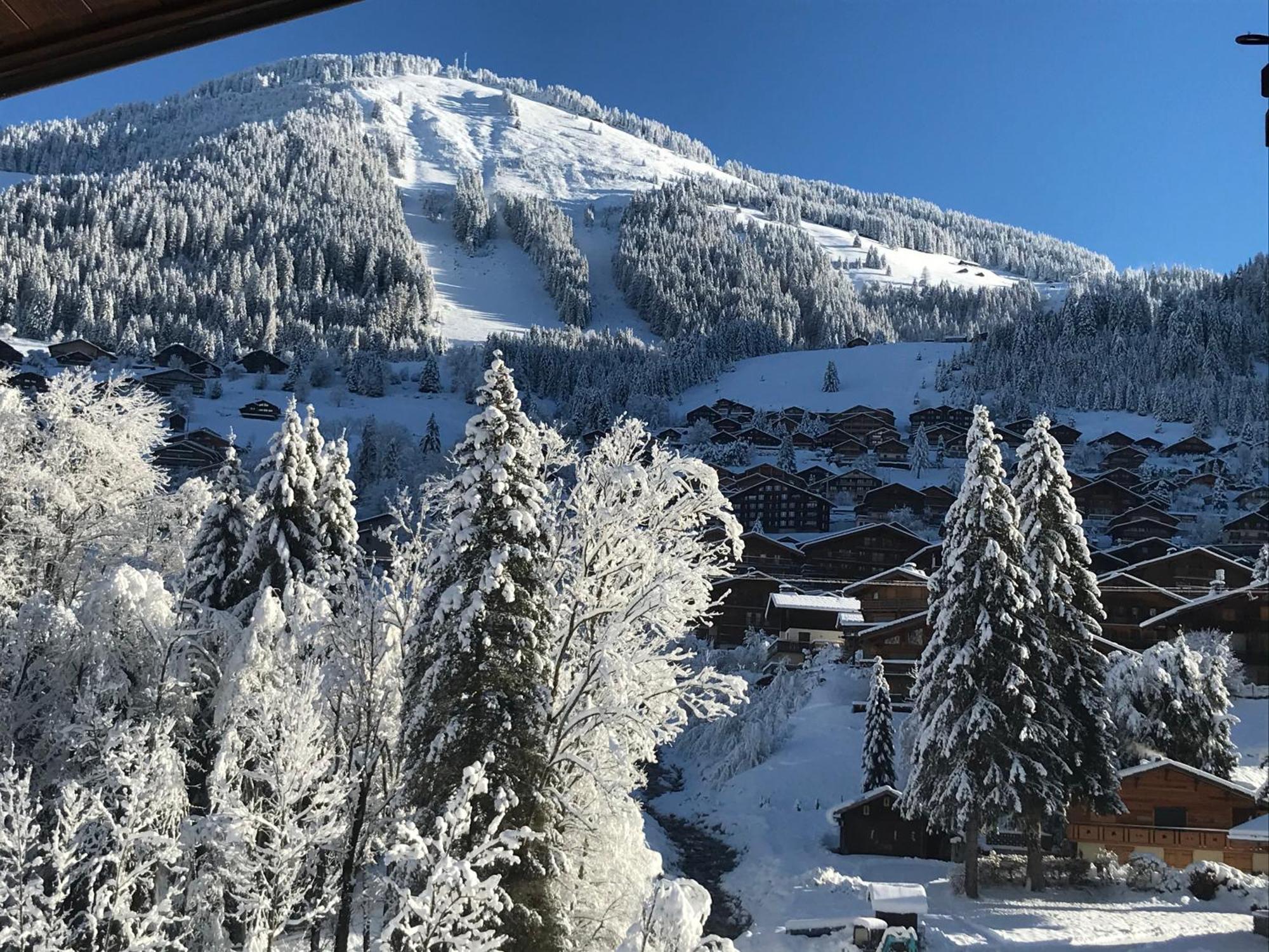 Au Bois De Lune Châtel Exterior foto