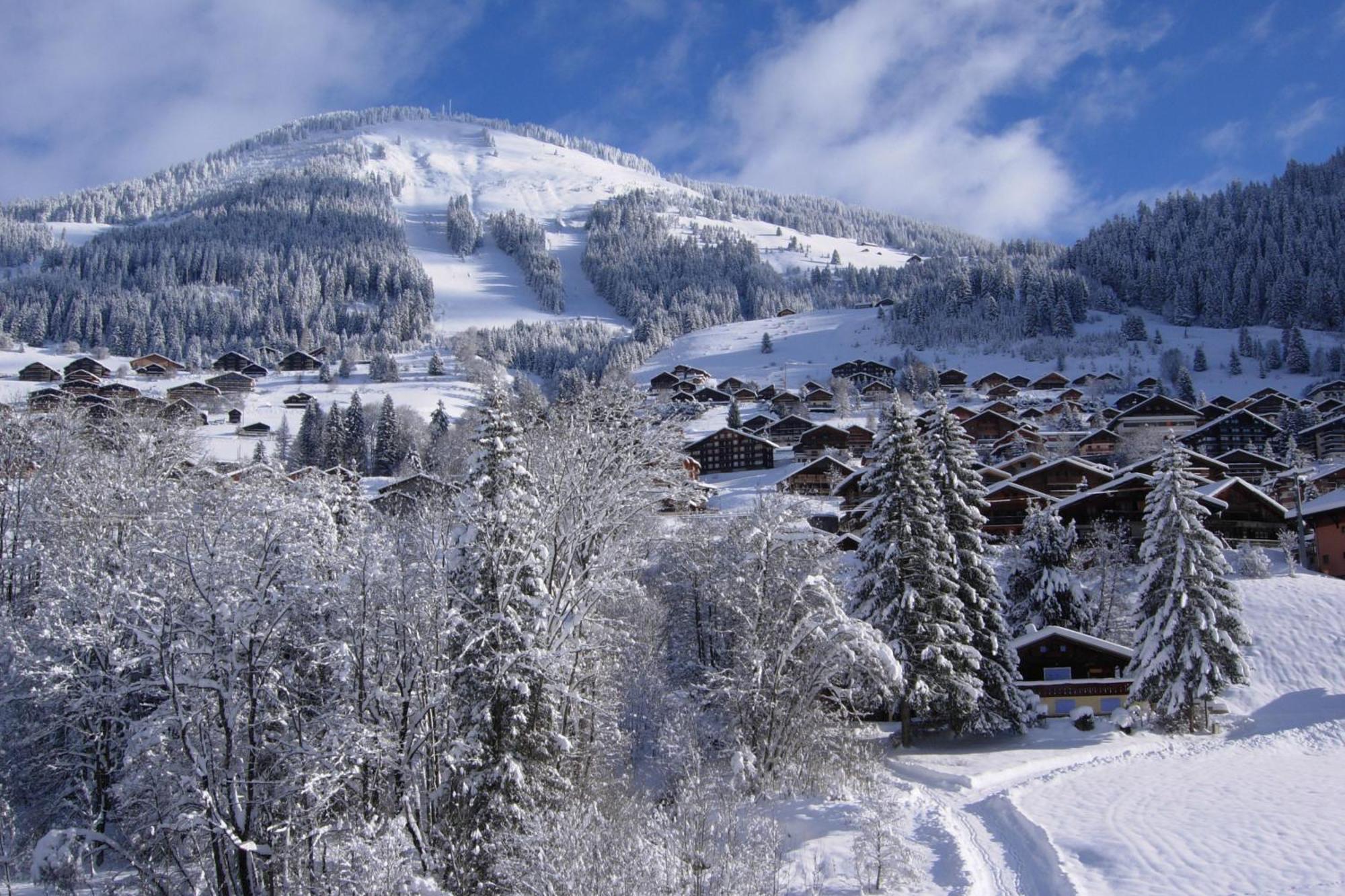Au Bois De Lune Châtel Exterior foto